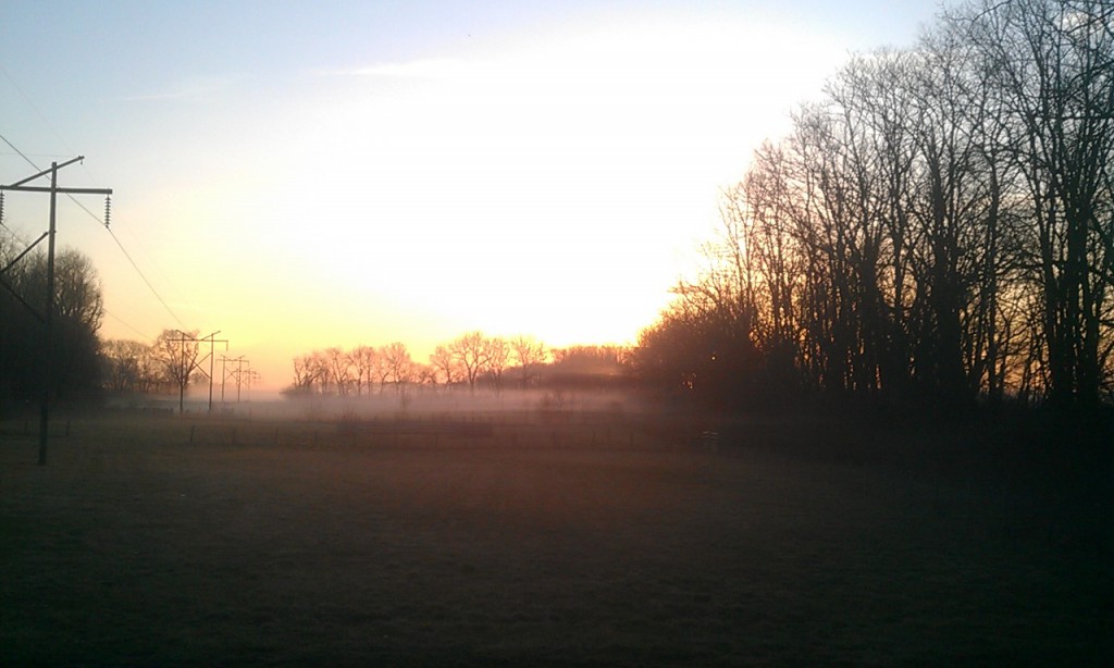 sunrise over a pasture